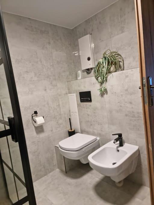 Apartment Fantastica *